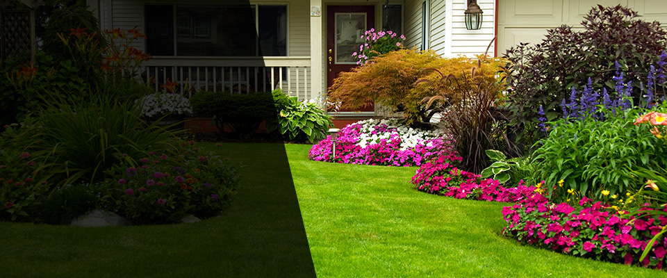 Rumson Landscapers